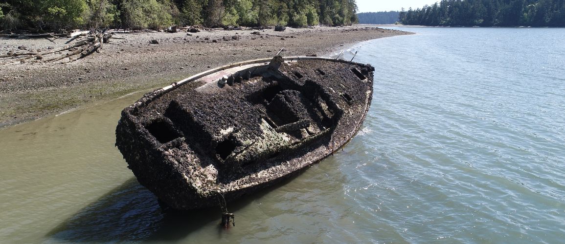 Windjammer Removal Jason Thompson