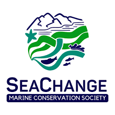 SeaChange logo