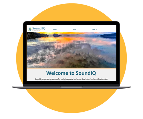 SoundIQ laptop