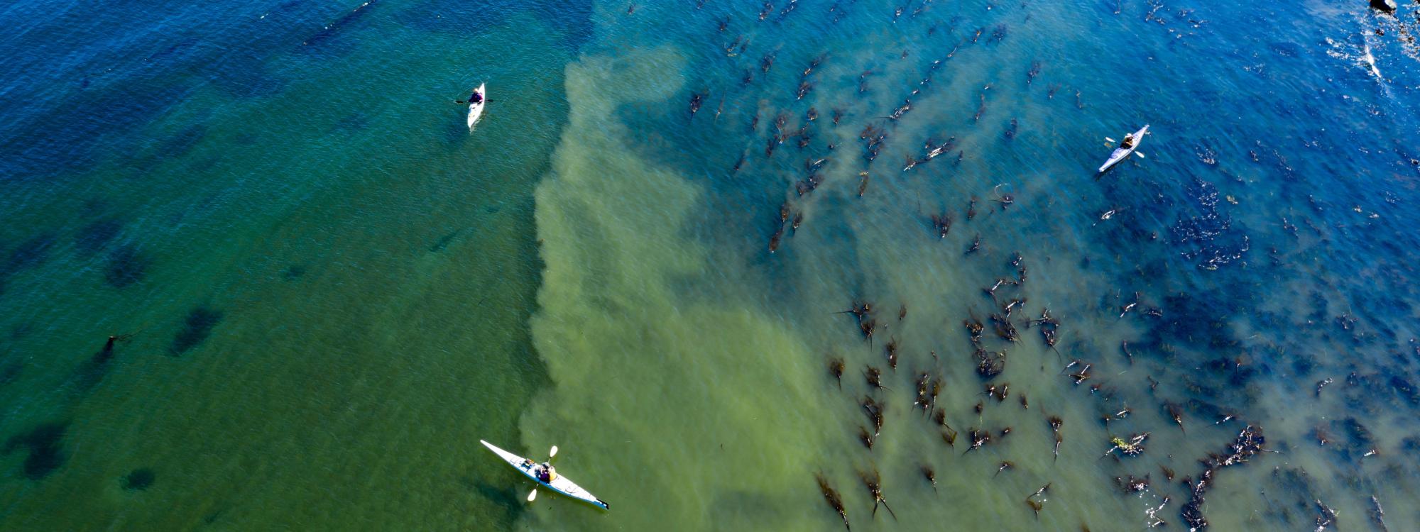 Kayakers from a drone view. Phot: Tyler Cowdrey DNR
