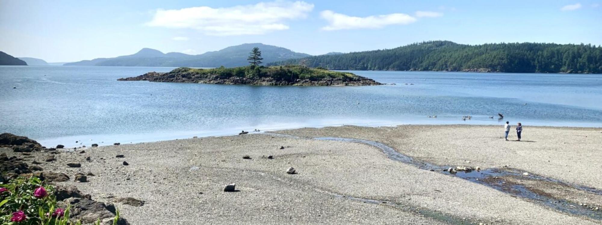 Eastsound Beach Photo: Jess Newley, Friends of the San Juans