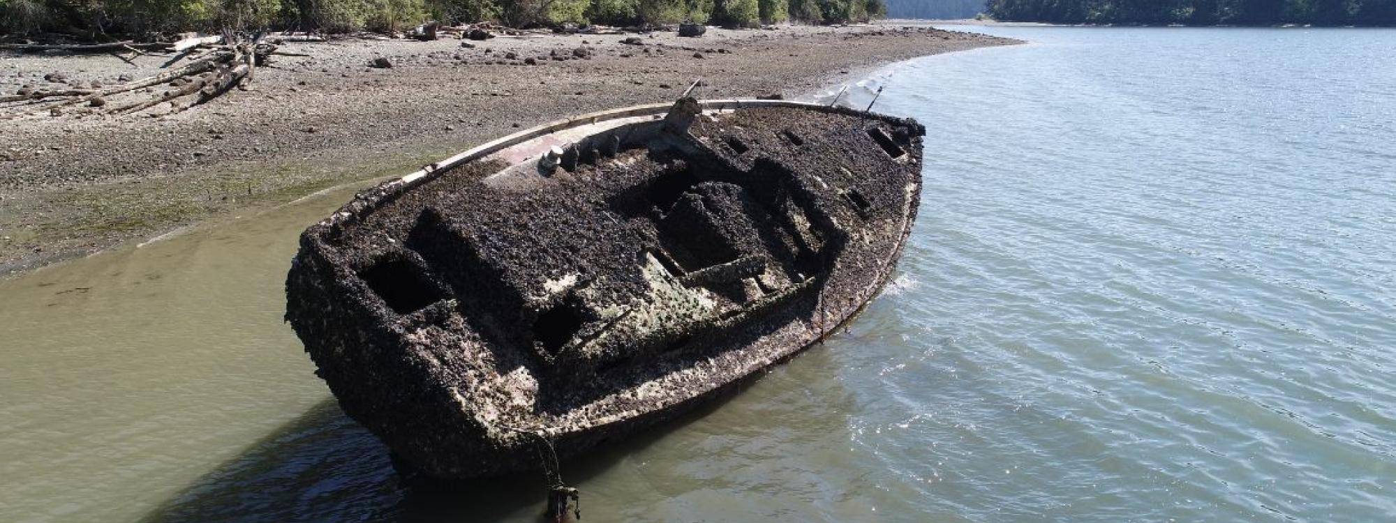 Windjammer, Similk Bay. Photo: Jason Thompson, Shoreline Specialist, Swinomish Indian Tribal Community