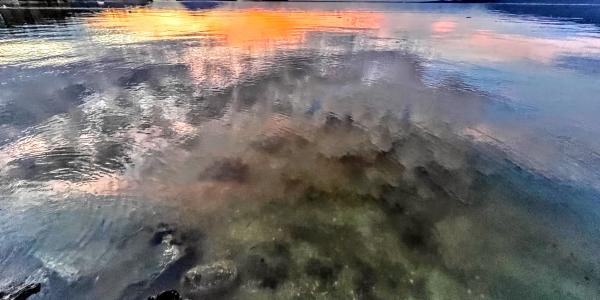 Samish Bay. Photo: Sarah Lyon