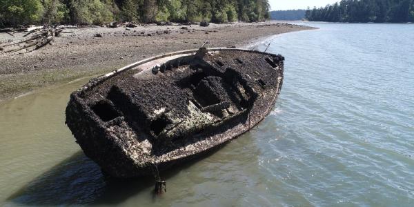 Windjammer, Similk Bay. Photo: Jason Thompson, Shoreline Specialist, Swinomish Indian Tribal Community