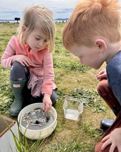 two kids searching for nerdles