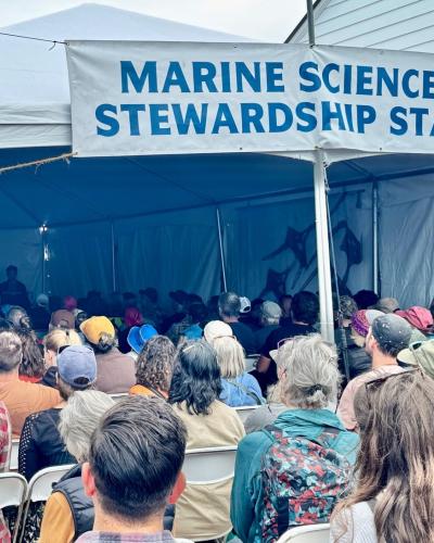 Marine Stewardship Stage
