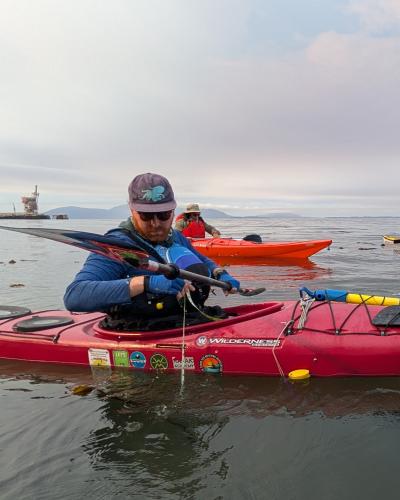 Bull kelp survey Cherry point (Dana Daniels)