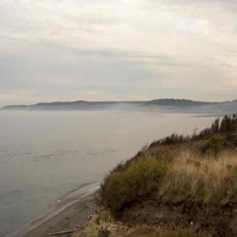 Prairie Celiabartram