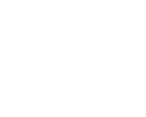 Anchor out logo