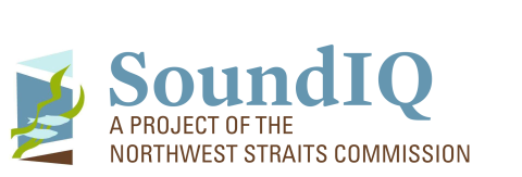 SoundIQ