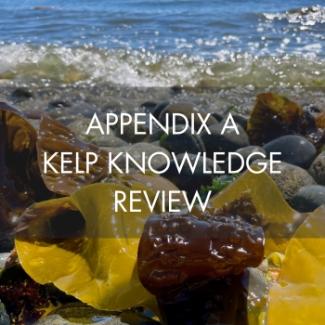 Appendix A Kelp Knowledge Thumbnail