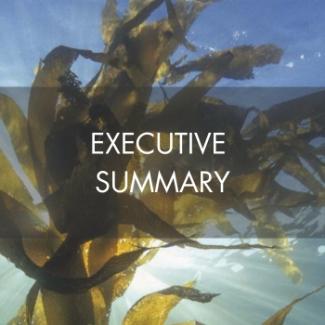 Executive Summary Kelp Thumbnail