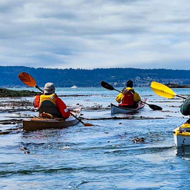 Kelp Recovery Thumbnail