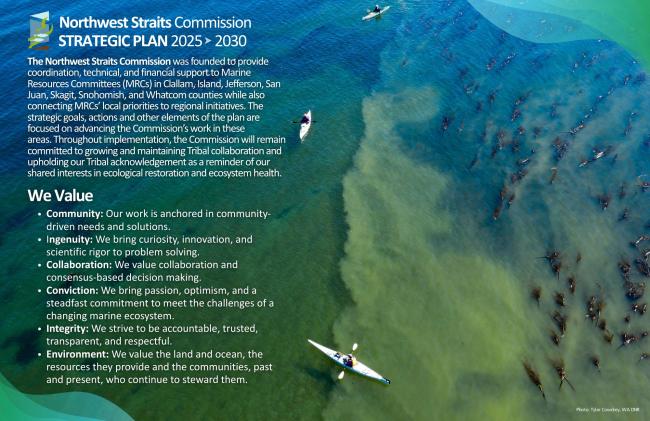 NW Straits 5 yr strategic plan poster