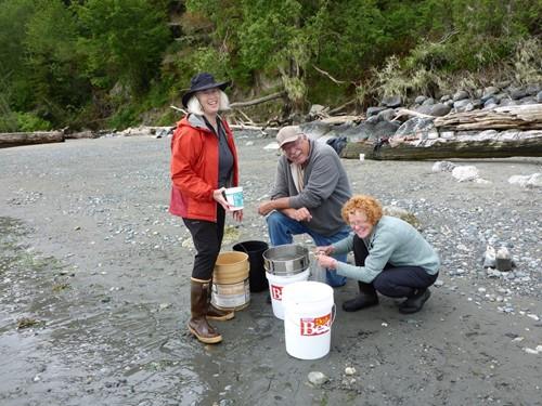Citizen science volunteers documenting spawning activity
