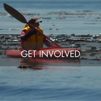 Kelp Get Involved Thumbnail