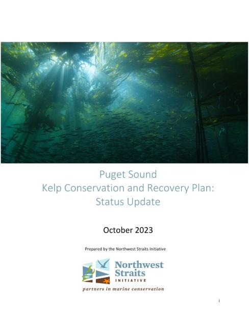 Kelp Plan Status Update Thumbnail