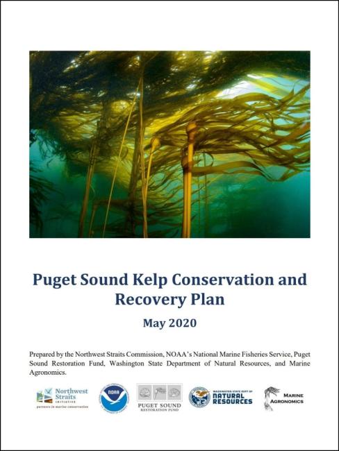 Puget Sound Kelp Plan Thumbnail