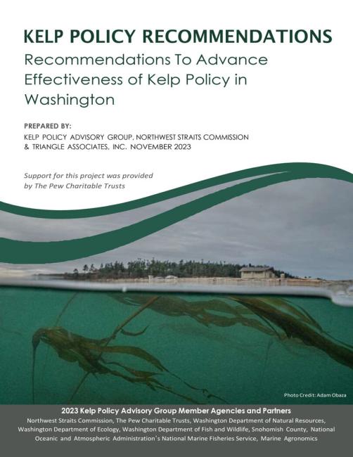 Kelp Policy Advisory Thumbnail