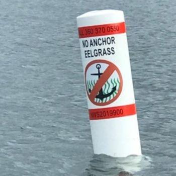 Buoy with no anchor eelgrass label