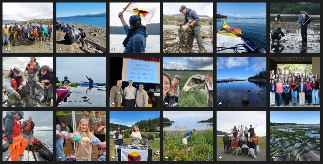 Best of 2025 photo collage