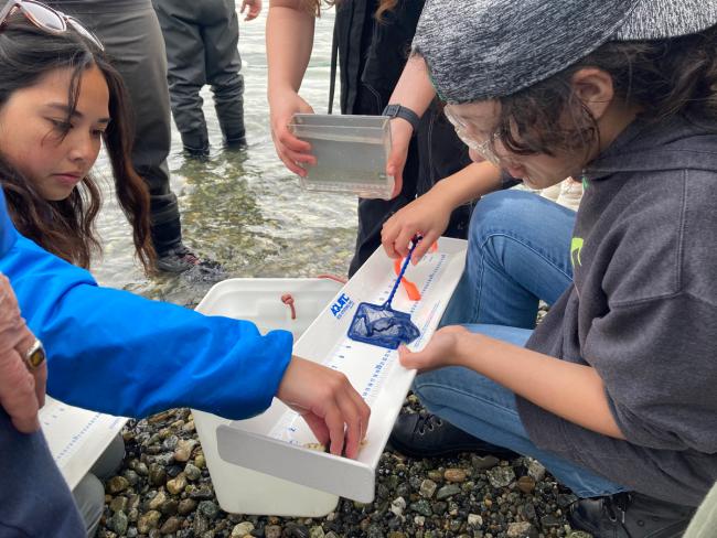Conway Middle School eighth graders participating in Kids on the Beach Program. Photo: Annie England