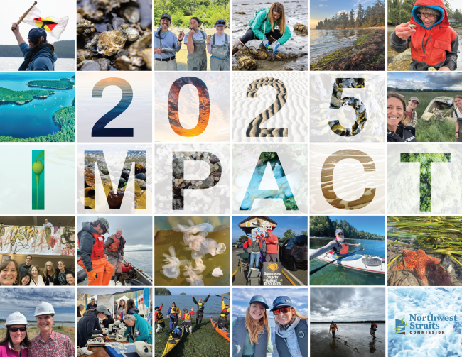 2025 Impact Report Cover 