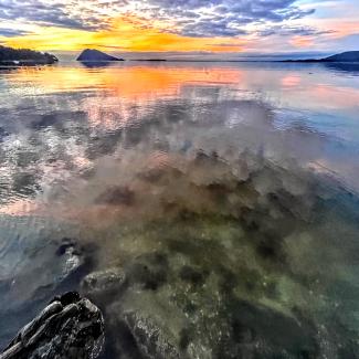 Samish Bay. Photo: Sarah Lyon