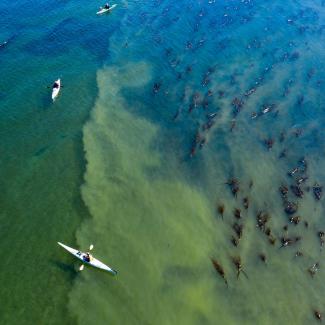 Kayakers from a drone view. Phot: Tyler Cowdrey DNR