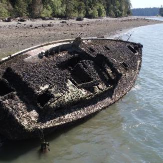 Windjammer, Similk Bay. Photo: Jason Thompson, Shoreline Specialist, Swinomish Indian Tribal Community